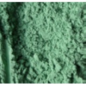 Pigment Powercolor Moss Green 40gr